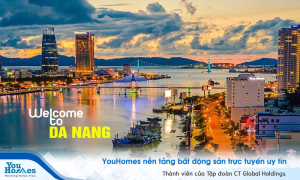 Ban hành nghị quyết xây dựng nghị quyết của Quốc hội về phát triển Đà Nẵng trong tương lai.